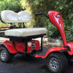 ESV-cricket-mini-golf-cart-scooter
