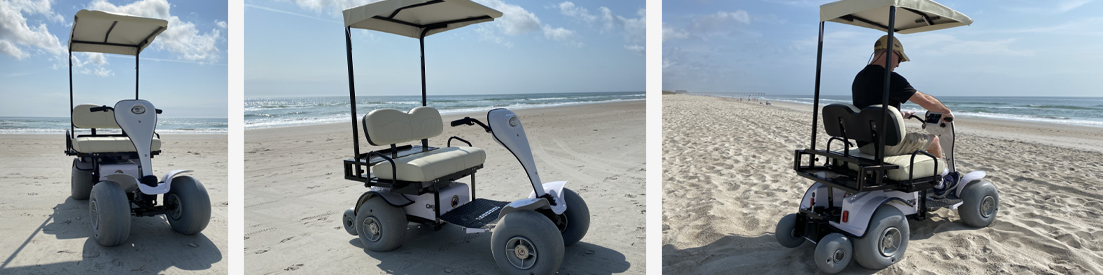 beach-buggeez-cricket-custom-golf-cart