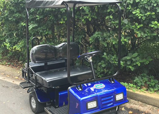blue-sx3-cricket-cart