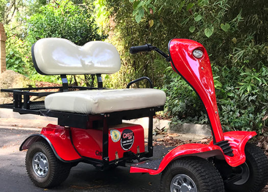 red-cricket-esv-golf-cart