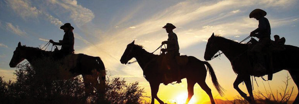 illinois-cricket-mini-golf-carts-equestrian-arenas-camping-horses